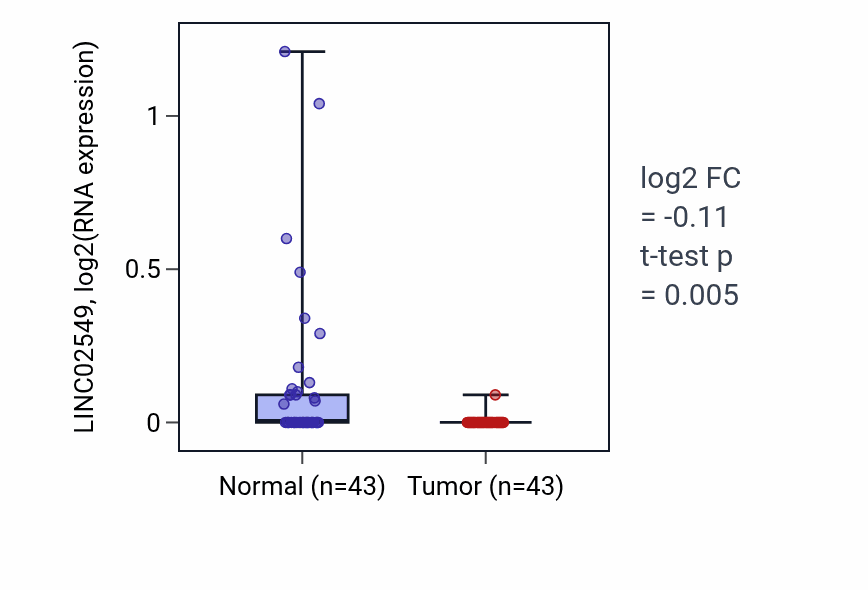 Tumor-vs-normal expression box plot for LINC02549 in HNSC.