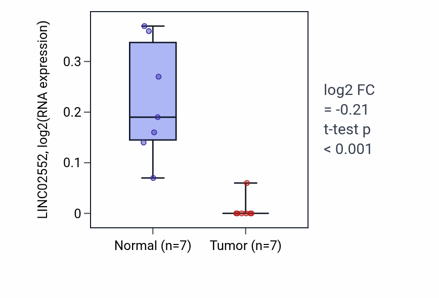 Tumor-vs-normal expression box plot for LINC02552 in LUSC.