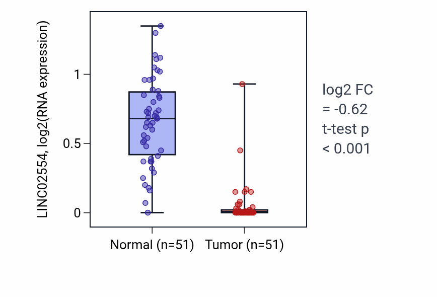 Tumor-vs-normal expression box plot for LINC02554 in KIRC.
