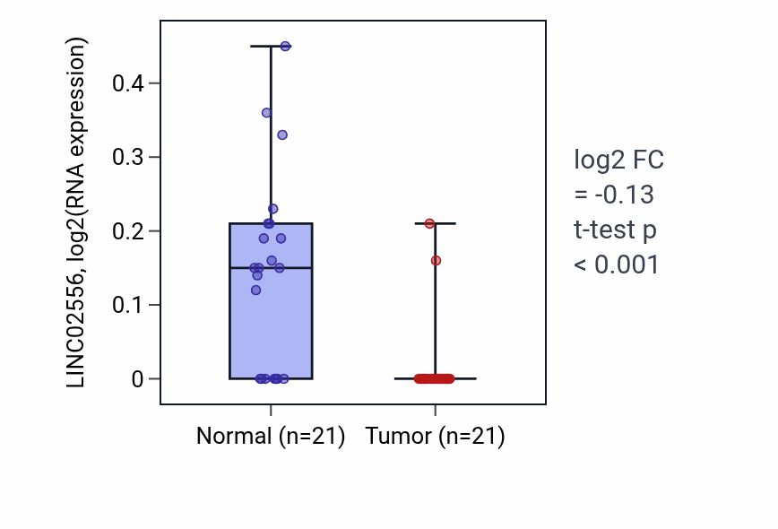Tumor-vs-normal expression box plot for LINC02556 in KIRP.