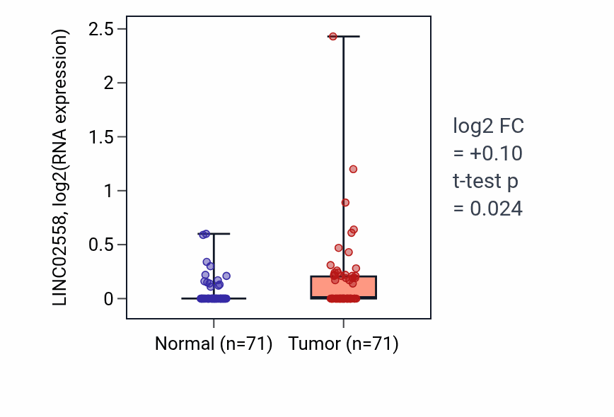 Tumor-vs-normal expression box plot for LINC02558 in KIRC.