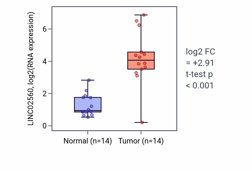 Tumor-vs-normal expression box plot for LINC02560 in THCA.