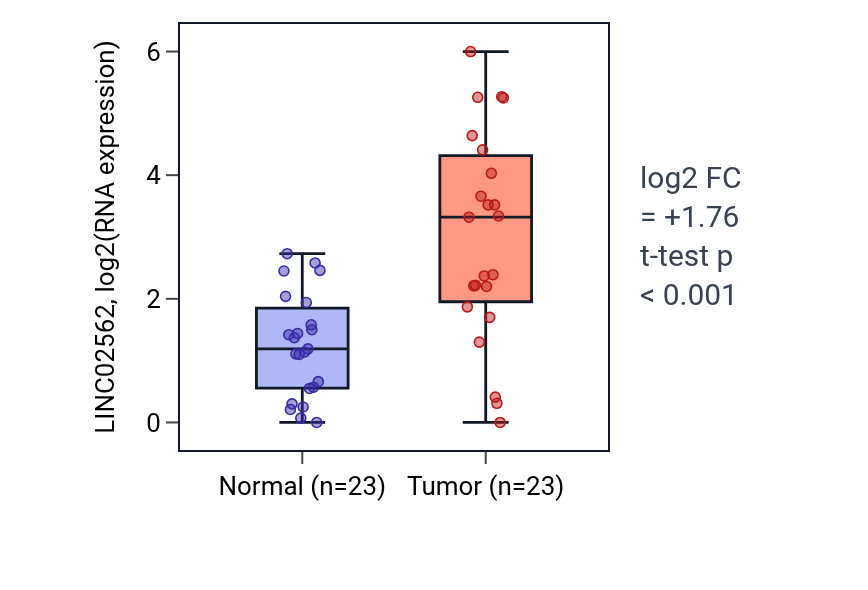Tumor-vs-normal expression box plot for LINC02562 in LUAD.