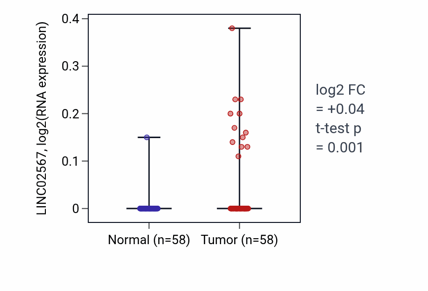 Tumor-vs-normal expression box plot for LINC02567 in THCA.