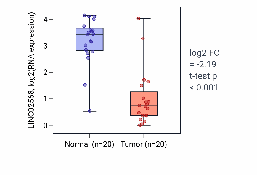Tumor-vs-normal expression box plot for LINC02568 RNA in COAD.