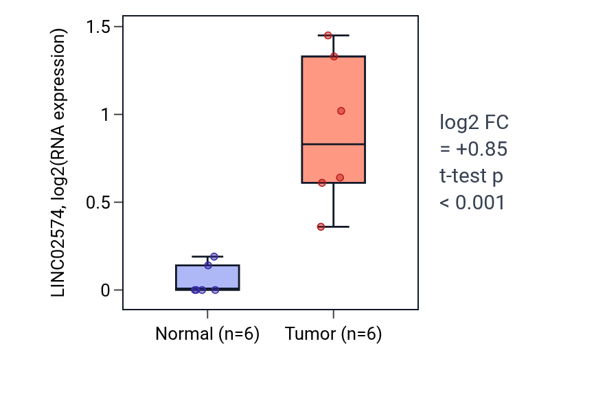 Tumor-vs-normal expression box plot for LINC02574 in HNSC.