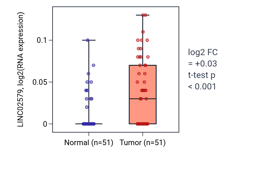 Tumor-vs-normal expression box plot for LINC02579 in KIRC.