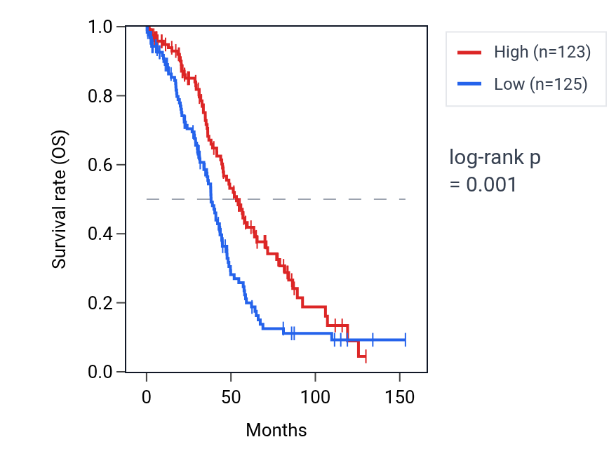 Kaplan&ndash;Meier survival curve for LINC02585 RNA expression in OV: high vs low expression groups.
