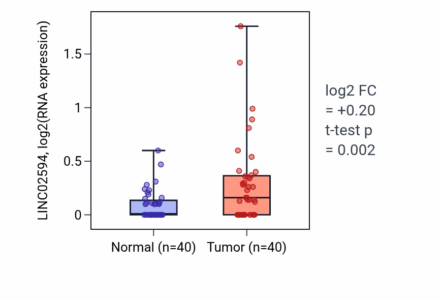 Tumor-vs-normal expression box plot for LINC02594 in HNSC.