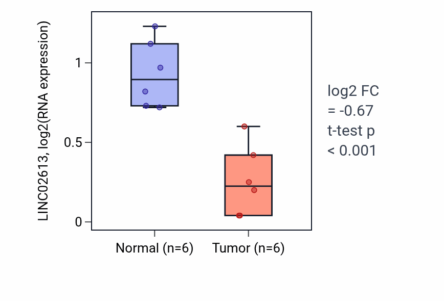 Tumor-vs-normal expression box plot for LINC02613 RNA in KIRC.