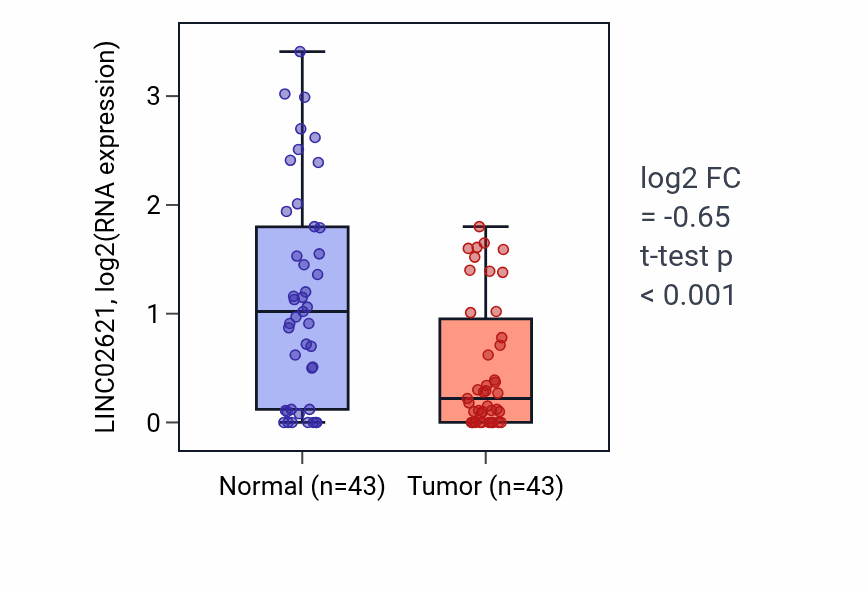Tumor-vs-normal expression box plot for LINC02621 in HNSC.