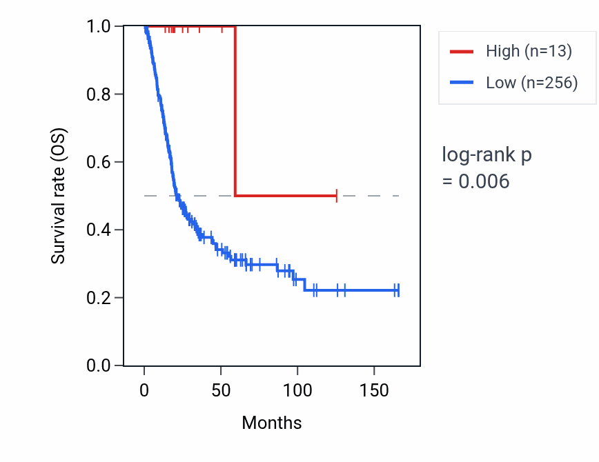 Kaplan&ndash;Meier survival curve for LINC02628 RNA expression in BLCA: high vs low expression groups.