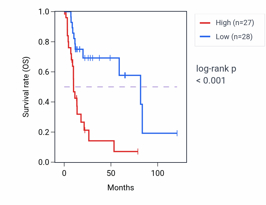 Kaplan&ndash;Meier survival curve for LINC02631 RNA expression in LIHC: high vs low expression groups.