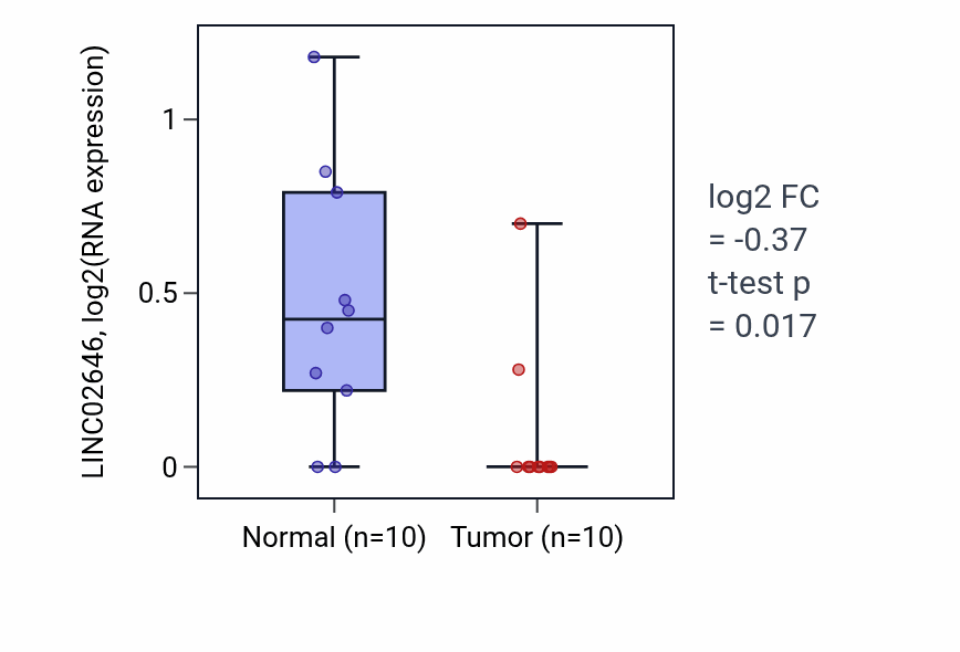 Tumor-vs-normal expression box plot for LINC02646 in KIRP.