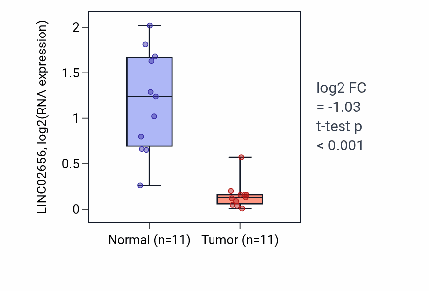 Tumor-vs-normal expression box plot for LINC02656 in KICH.