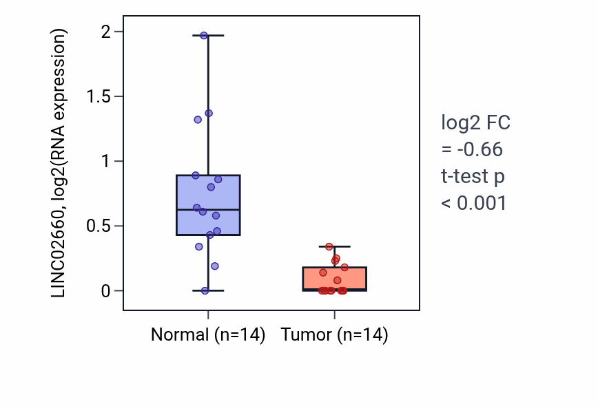Tumor-vs-normal expression box plot for LINC02660 in THCA.