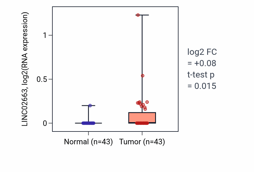 Tumor-vs-normal expression box plot for LINC02663 in HNSC.