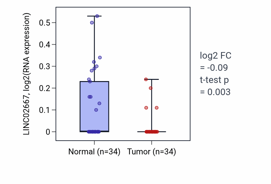Tumor-vs-normal expression box plot for LINC02667 in KIRC.