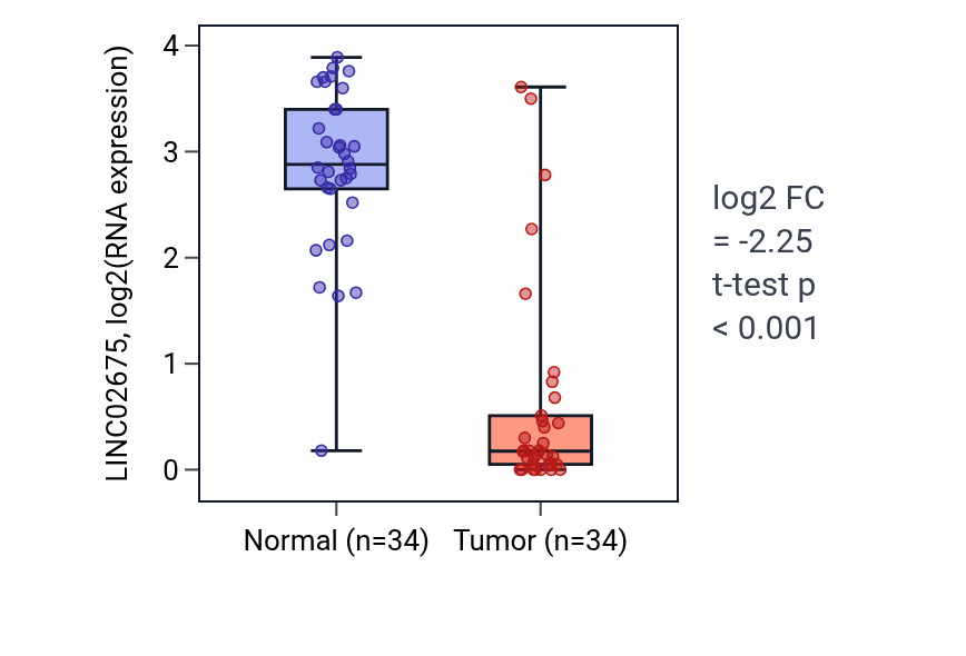 Tumor-vs-normal expression box plot for LINC02675 in KIRC.