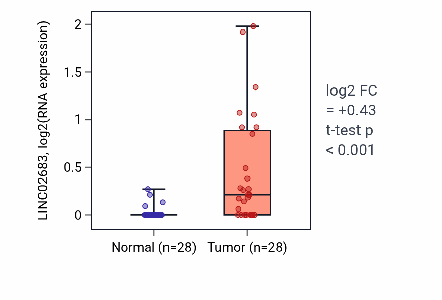 Tumor-vs-normal expression box plot for LINC02683 in LUAD.