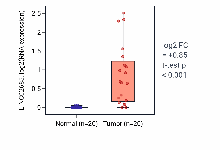 Tumor-vs-normal expression box plot for LINC02685 in KIRC.