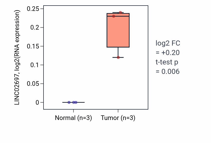 Tumor-vs-normal expression box plot for LINC02697 in READ.