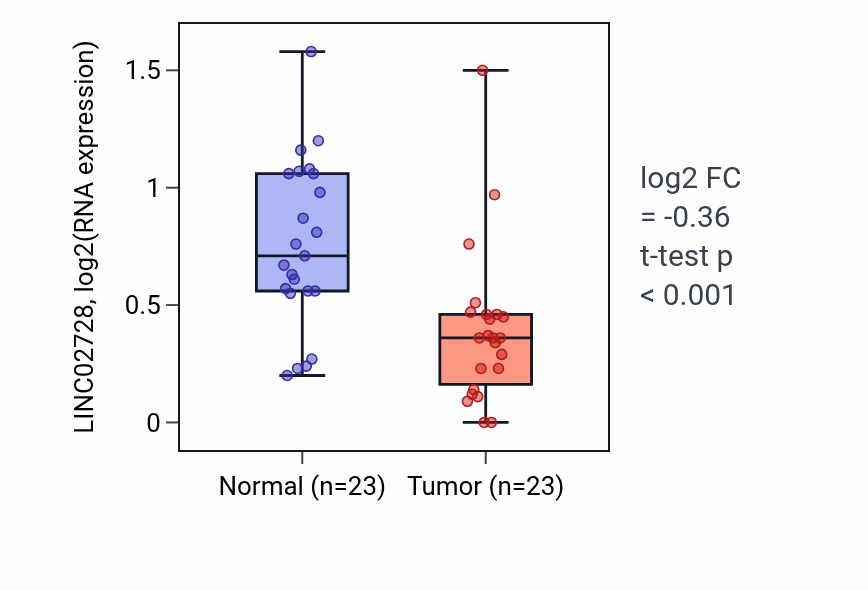 Tumor-vs-normal expression box plot for LINC02728 in UCEC.