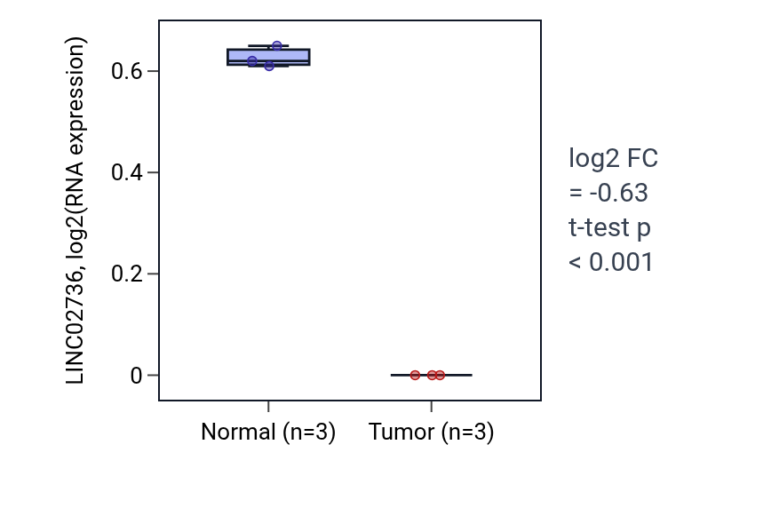 Tumor-vs-normal expression box plot for LINC02736 in THCA.