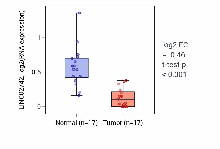 Tumor-vs-normal expression box plot for LINC02742 in THCA.