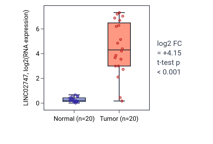 Tumor-vs-normal expression box plot for LINC02747 in KIRC.