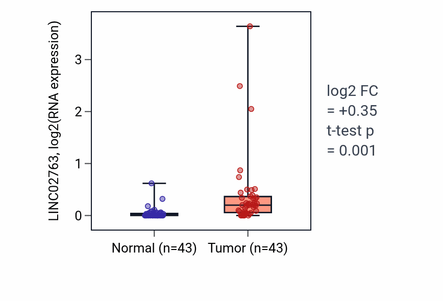 Tumor-vs-normal expression box plot for LINC02763 in HNSC.