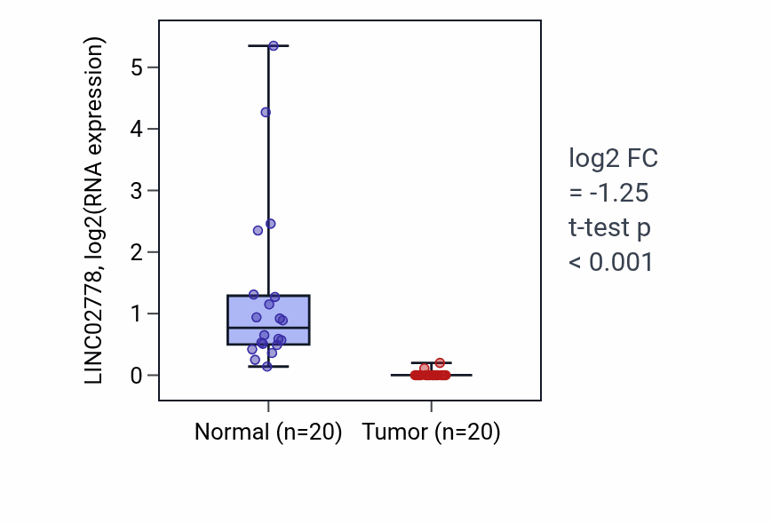 Tumor-vs-normal expression box plot for LINC02778 in KIRC.