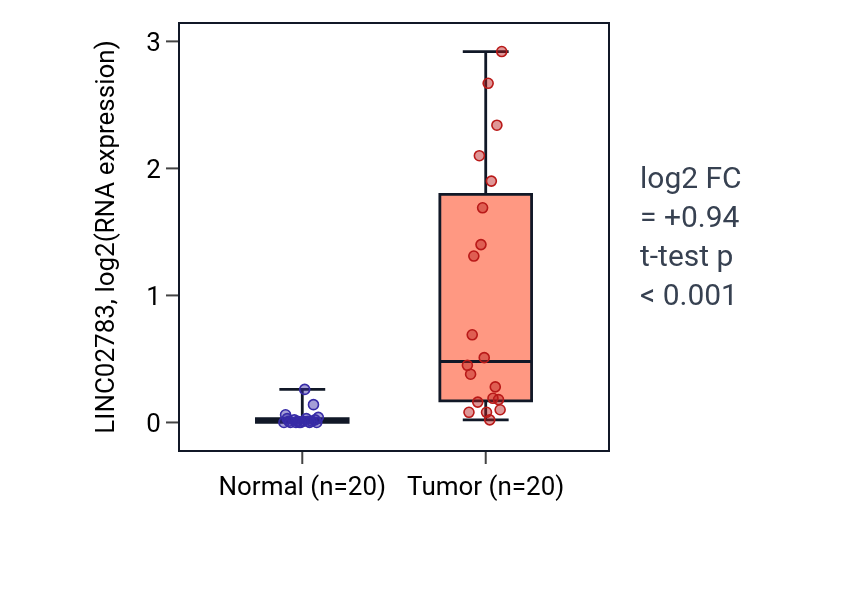 Tumor-vs-normal expression box plot for LINC02783 in KIRC.