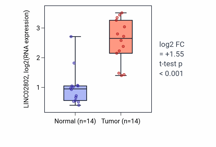 Tumor-vs-normal expression box plot for LINC02802 in KIRC.
