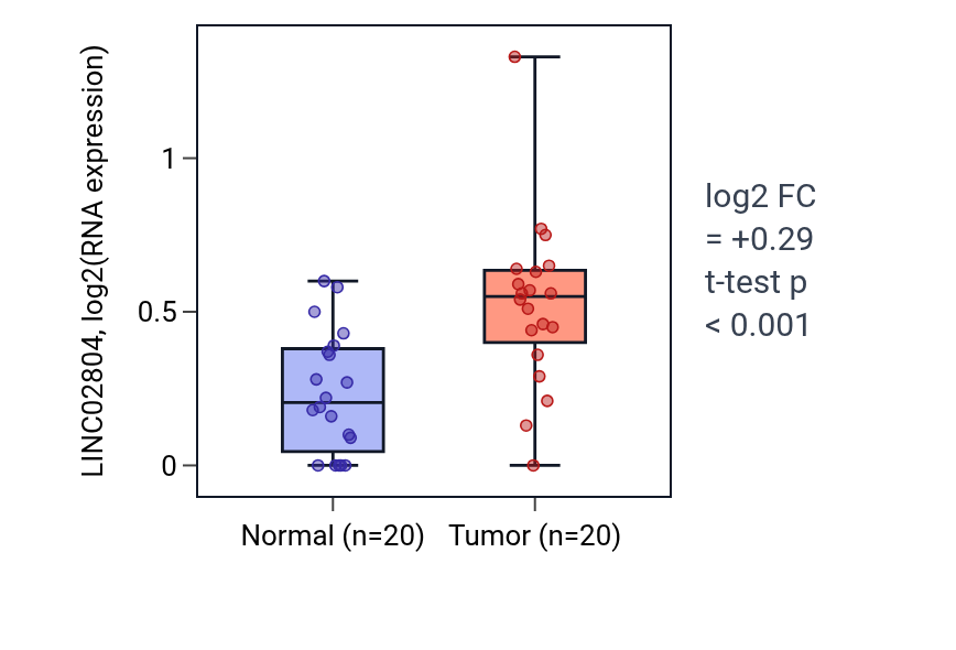 Tumor-vs-normal expression box plot for LINC02804 in KIRC.