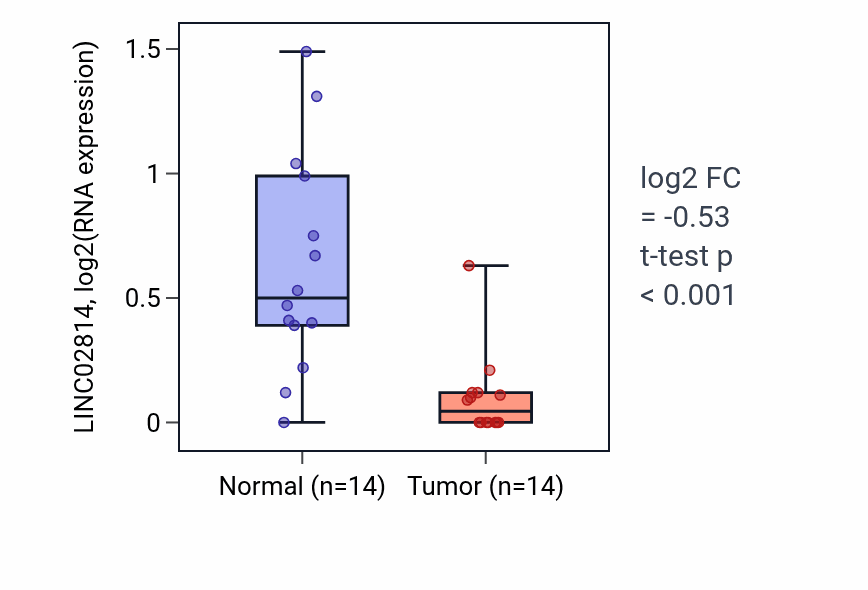 Tumor-vs-normal expression box plot for LINC02814 in KIRC.