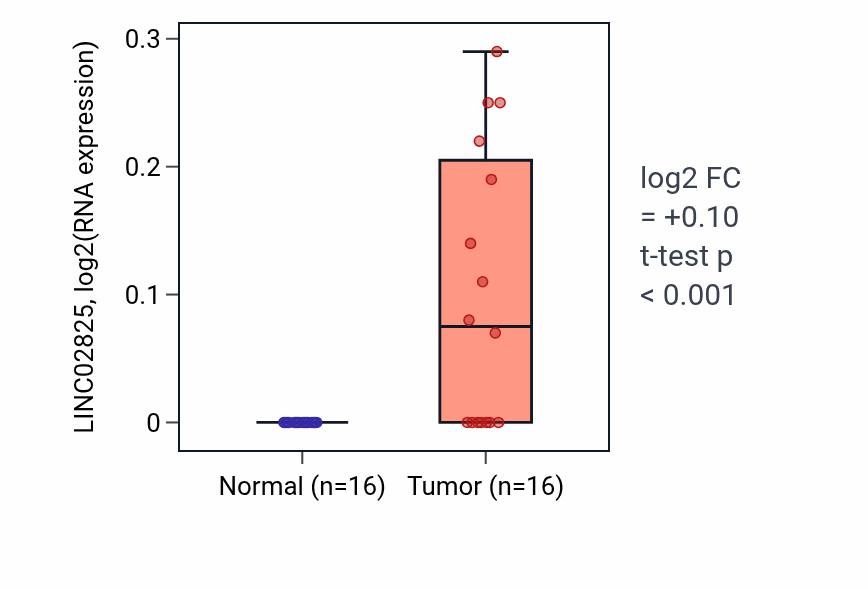 Tumor-vs-normal expression box plot for LINC02825 RNA in THCA.