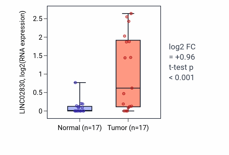 Tumor-vs-normal expression box plot for LINC02830 in HNSC.