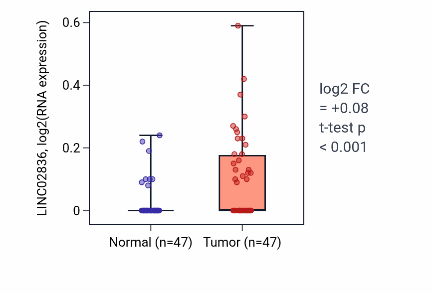 Tumor-vs-normal expression box plot for LINC02836 in KIRC.