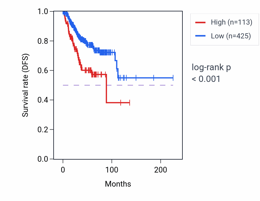 Kaplan&ndash;Meier survival curve for LINC02842 RNA expression in UCEC: high vs low expression groups.