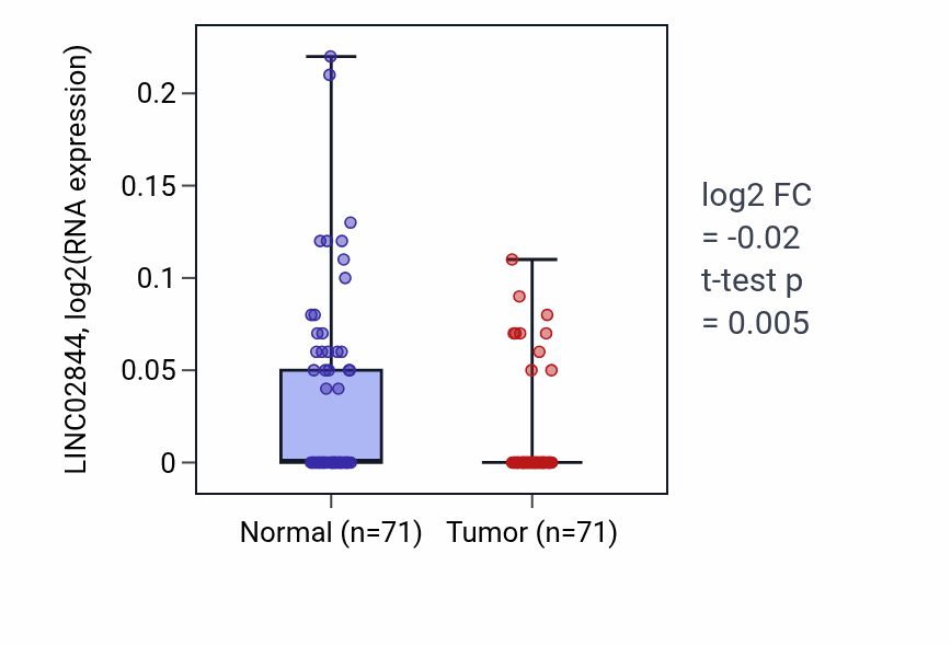 Tumor-vs-normal expression box plot for LINC02844 in KIRC.