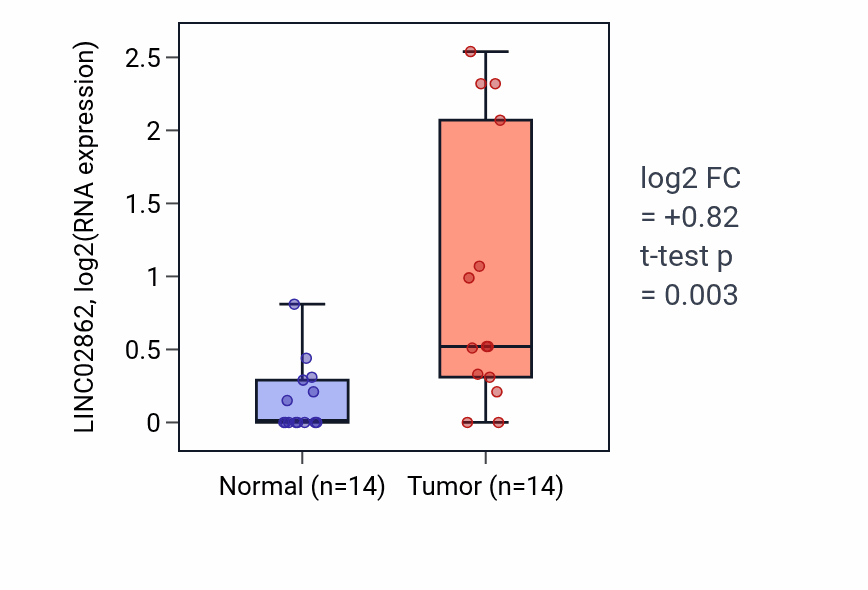 Tumor-vs-normal expression box plot for LINC02862 in BLCA.