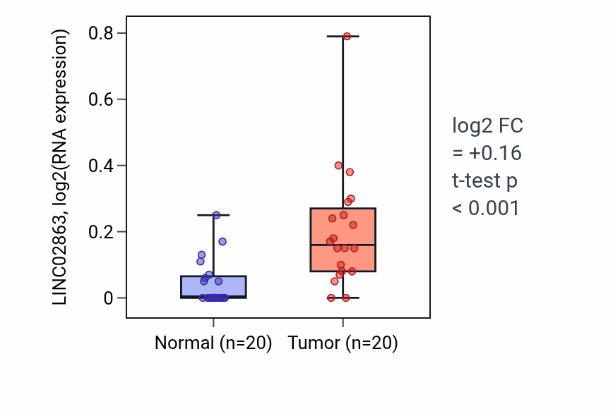 Tumor-vs-normal expression box plot for LINC02863 in KIRC.