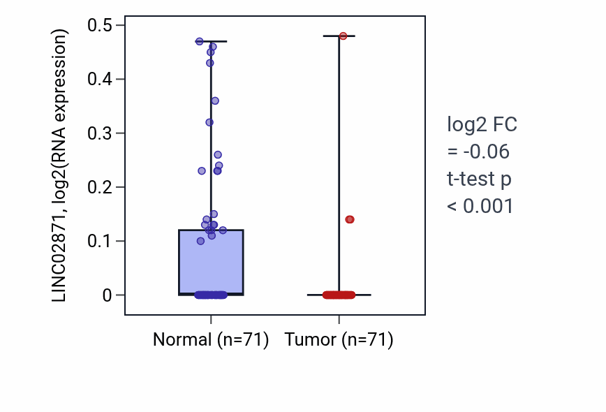 Tumor-vs-normal expression box plot for LINC02871 in KIRC.