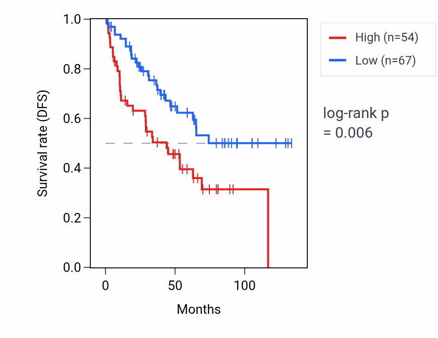 Kaplan&ndash;Meier survival curve for LINC02872 RNA expression in KIRC: high vs low expression groups.