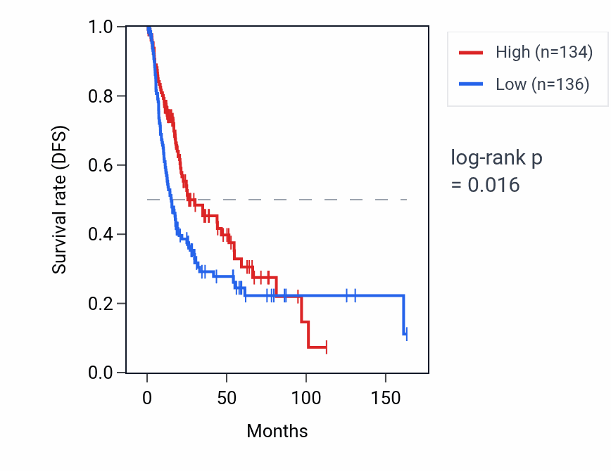 Kaplan&ndash;Meier survival curve for LINC02875 RNA expression in BLCA: high vs low expression groups.