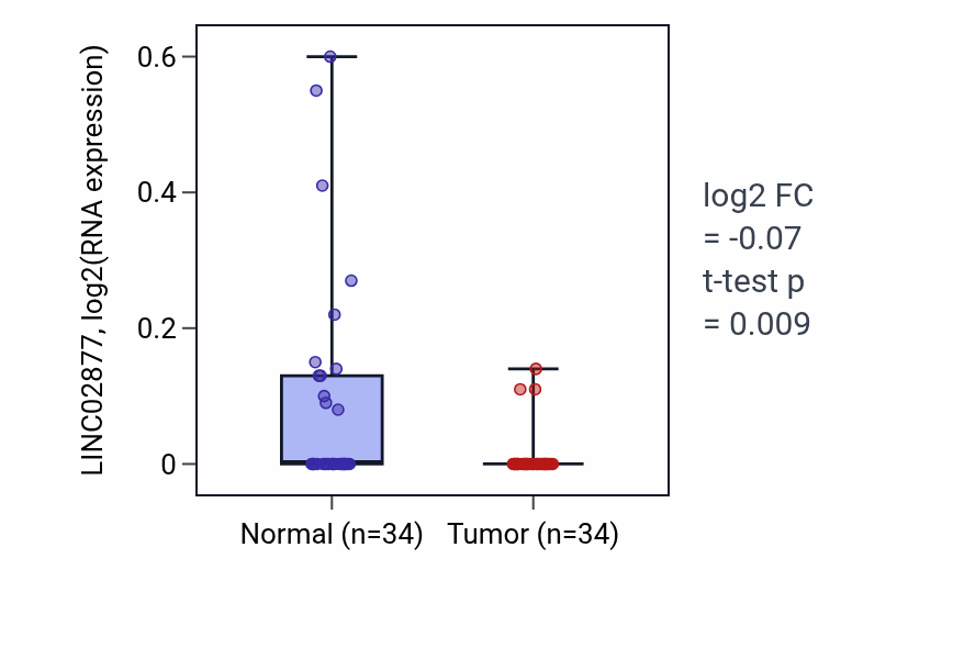 Tumor-vs-normal expression box plot for LINC02877 in KIRC.
