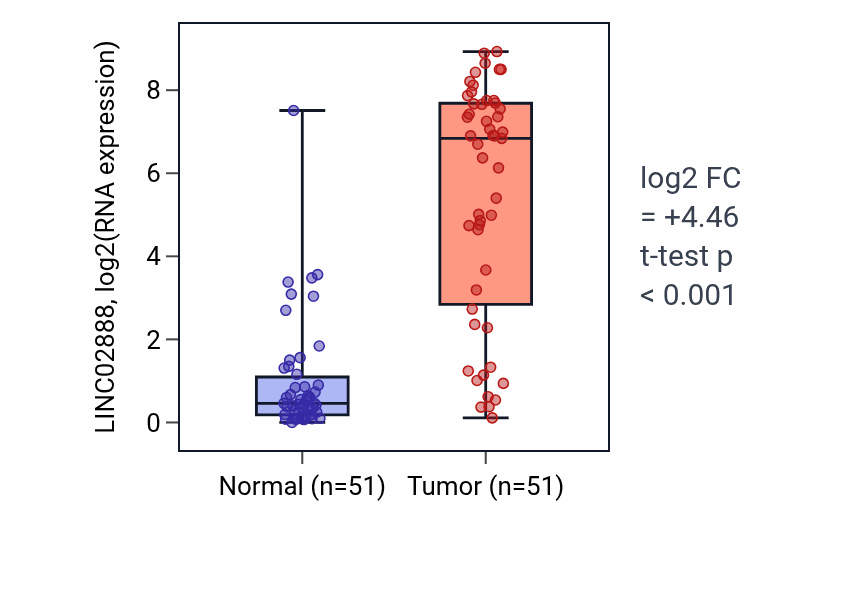 Tumor-vs-normal expression box plot for LINC02888 RNA in KIRC.