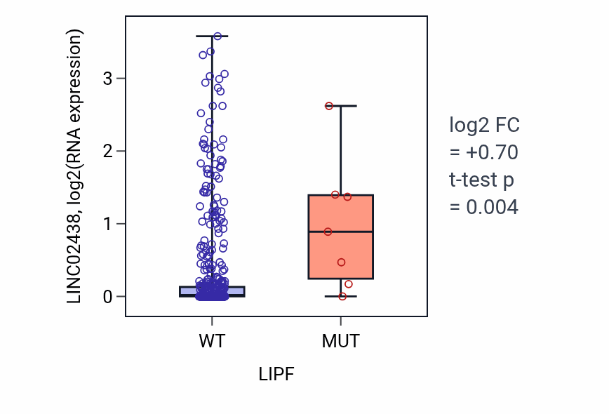 Box plot of LINC02438 in LIPF-low vs LIPF-high samples in LUAD.