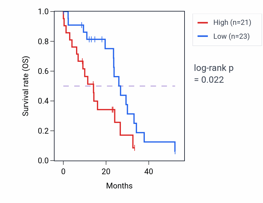 Kaplan&ndash;Meier survival curve for LIPG mass-spec protein-high vs -low samples in PDAC.